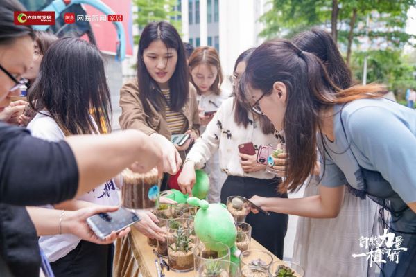 人们纷纷领种梭梭树，为环保出一份力