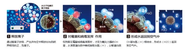 负离子真能抗菌消毒吗？贝尔带你了解重要知识点！