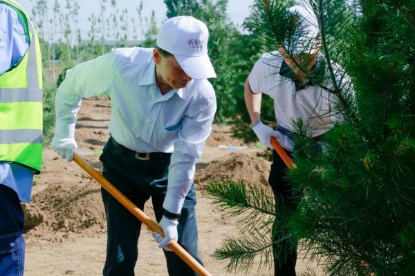 为地球充植，大自然家居第24片公益生态林落地雄安新区