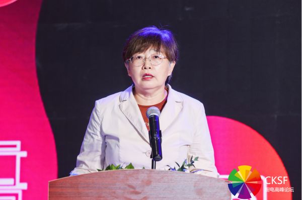 中国家用电器协会秘书长王雷