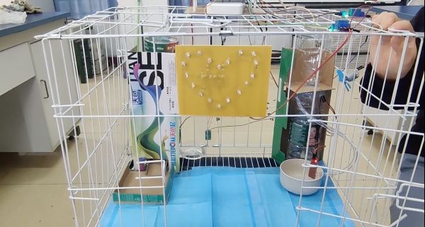 image005.png