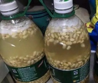 黄豆怎么变成“万能肥”？教你处理方法，养花比淘米水好用！