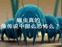 惧怕螨虫？是在为智商交税还是刻意忽略常识？