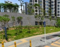 深圳崇文花园敢买不  深圳崇文花园小区详情是什么