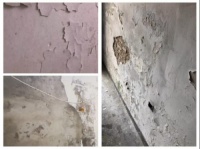 红蚂蚁装饰助力姑苏区最美楼道行动，锦帆社区楼道换新颜