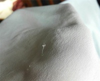品质生活看细节 健康+精洗的秘诀是什么