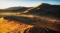 中国世遗再添两处！回顾丝绸之路的申遗旅程
