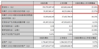 皮阿诺2019年上半年营收5.55亿元 同比增长25.24%
