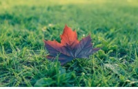秋季干燥呼吸不畅？，是时候安装劳力特新风系统了