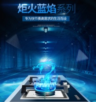 家丽雅“灶”就不凡，定义高品质生活！