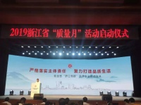 在推动浙江制造化茧成蝶的道路上，鸿雁又一次站在了前列