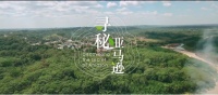 陶醉半生的寻木之梦，这次他深入亚马逊雨林去寻秘