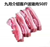 集成灶10大品牌，下单购买蓝炬星，送猪肉10斤