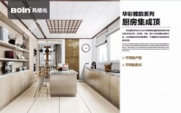 华彩雅韵系列集成顶 | 宝兰