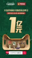 携手天猫布局新零售，大自然地板引领家居消费升级