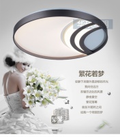 华硕照明：百炼思维成就灯都典范！