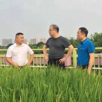 2019年东莞首届生态建筑高峰论坛即将隆重启动