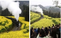 全包圆华丽变身网红打卡地，处处高逼格拍照场景
