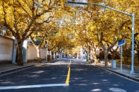 索奇厨电告知：秋高气爽，餐具消毒，负离子消毒柜