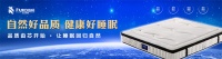 专注于享受睡眠的美梦制造商 ——法尼帝狮