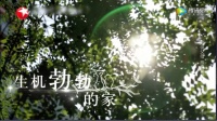 女孩为肿瘤母亲放弃留学，造梦者新风守护空气安全