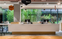 钢筋水泥中的城市绿洲  Spaces生态办公助力工作效率提升