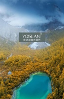 【YASLAN墙布窗帘】自然森系风，零距离感受大自然气息！