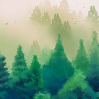 5周年特别征集 | 光合作用：让创意不断释放