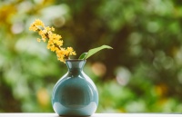 伊米兰格丨惬意秋季，宅在家里做仲夏未完的梦~