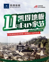 狂欢11月 凯得Buy家节！