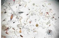 2019年余额已不足，碧水源纳滤净水机为您开启生活新方式