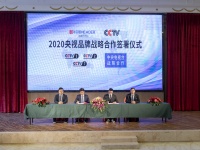 华尔顿签约央视广告，打造品牌传播新高度