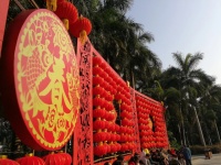 鼠年大惊喜，橙威宝浓缩地板清洁剂给我一次不同的年味