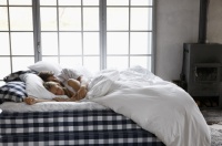 健康睡眠新定义，海丝腾引领新十年健康居家风潮