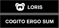 风狸国际Loris CES 塑造多元文化品牌