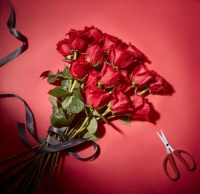 Roca x roseonly 跨界联手演绎云端浪漫