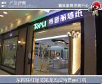 特普丽维梅尔壁纸 立体浮雕造型与精致雕花的完美结合