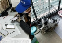 武汉自如管家送菜上门解燃眉之急 用户：很温暖