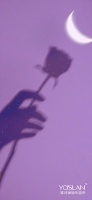 【YASLAN】烟云渺渺轻似梦 于万绿丛中撷一株紫花