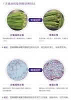 高端冰箱断崖式下跌 卡萨帝:7天营养不流失,份额占7成