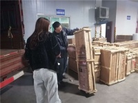 践行“一带一路”战略 伊莱卡以实业开拓缅甸家居市场