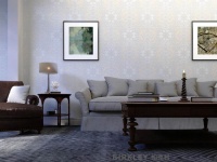 以多元方式诠释墙纸墙布，柏克利“让世界更美丽”