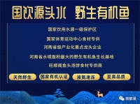 科普知识：认准有机—教你区分这三种鱼，大家都在吃，你知道吗？
