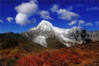 心系凉山木里，FAENZA法恩莎助力凉山木里脱贫攻坚物资捐赠