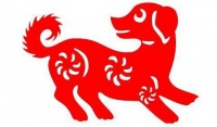 狗宝宝几月出生好 狗宝宝性格特征