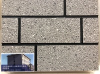 2020中国国际涂料博览会：立邦用研发创新提升建筑宜居和节能高品质标准 筑建美好城市未来