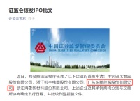 东鹏二次上市成功？IPO首发申请通过