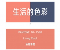 火星人厨柜——你的生活是何种色彩呢？