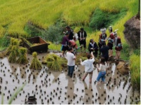 《火车火车哪里开》开往脱贫致富的央视频号专列