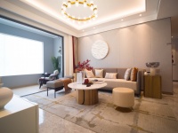 高端定制呈粤沪川“三足鼎立”之势，是昙花一现，还是定制革命？